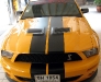 Copy of shelby gt 500.front.jpg